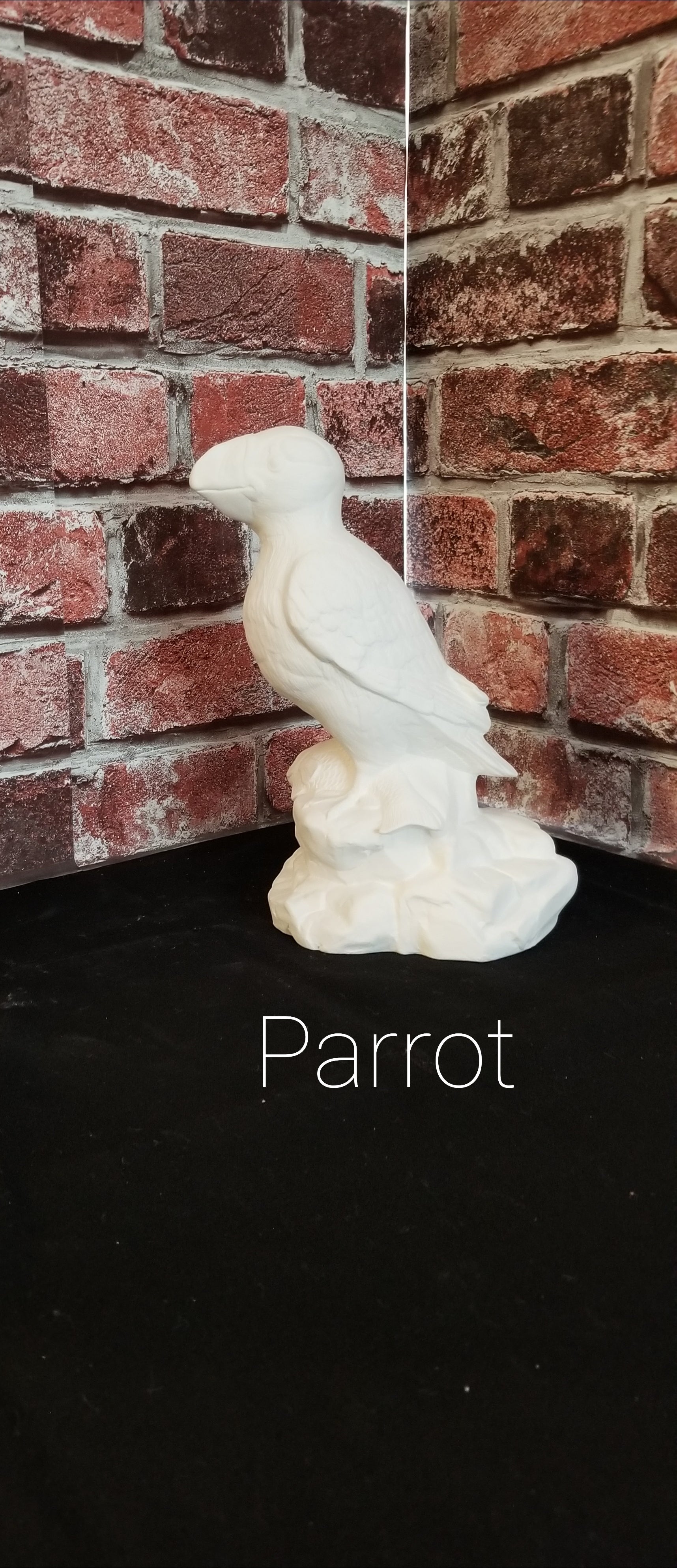 Parrot Van Go Pottery Painting